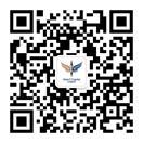 xcsports